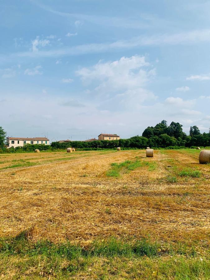 Appartamento Tra Verde E Citta 博洛尼亚 外观 照片